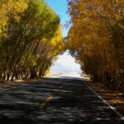 نىجاتلىق يولى