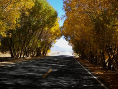 نىجاتلىق يولى